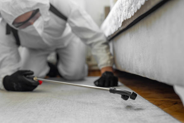 Professional Bed Bug Control technician working in Battle Creek, MI
