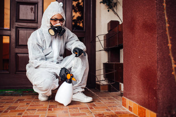 Reliable Bed Bug Control contractor in Battle Creek, MI by Nex Pest Control