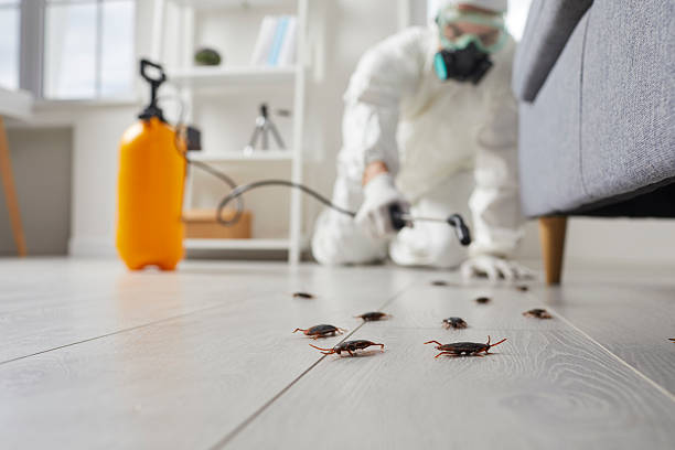 Trusted Rodent Control service in Battle Creek, MI - Nex Pest Control
