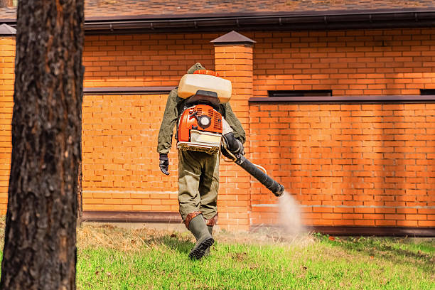 Trusted Bed Bug Control service in Battle Creek, MI - Nex Pest Control